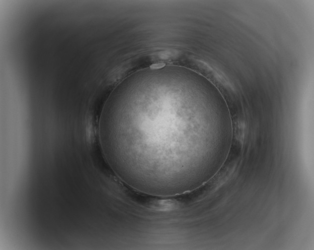 X0000101960324200807251159