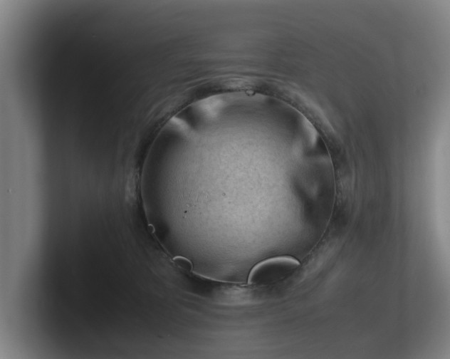 X0000101960325200807251159