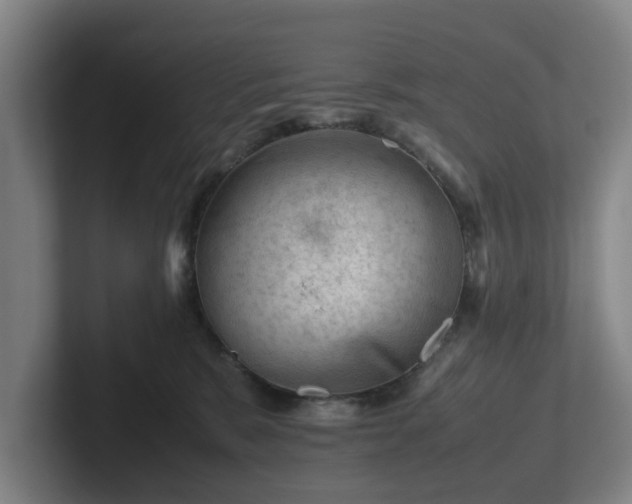 X0000101960327200807251159