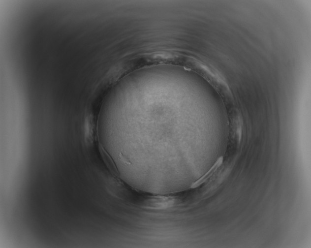 X0000101960328200807251159