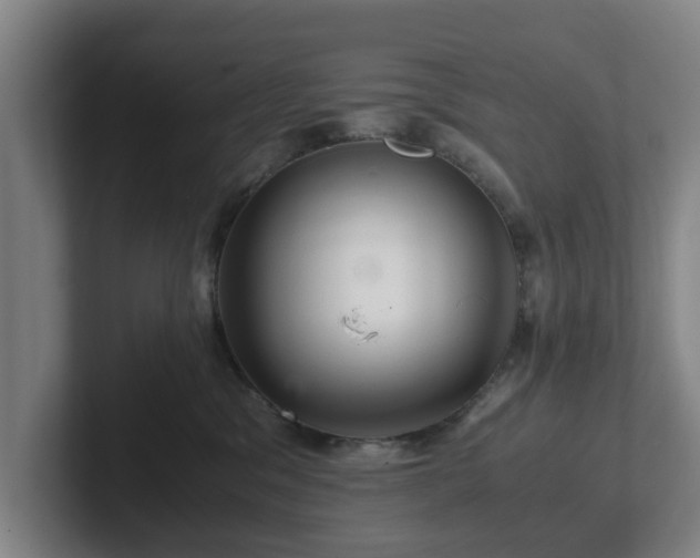 X0000101960329200807251159