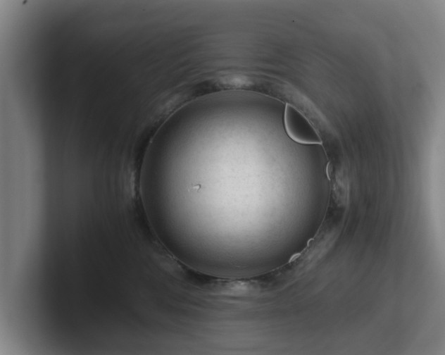 X0000101960330200807251159