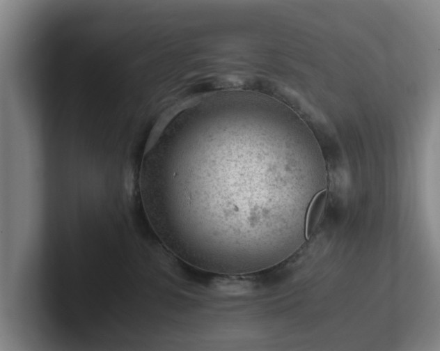 X0000101960331200807251159