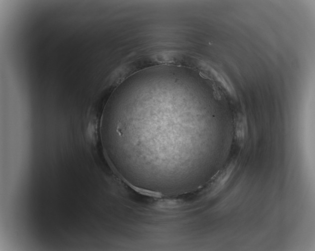 X0000101960332200807251159