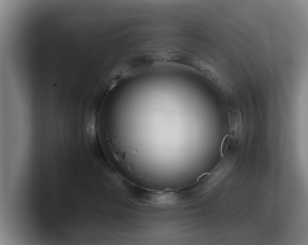 X0000101960334200807251159