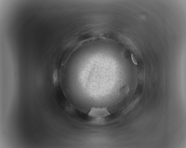 X0000101960335200807251159