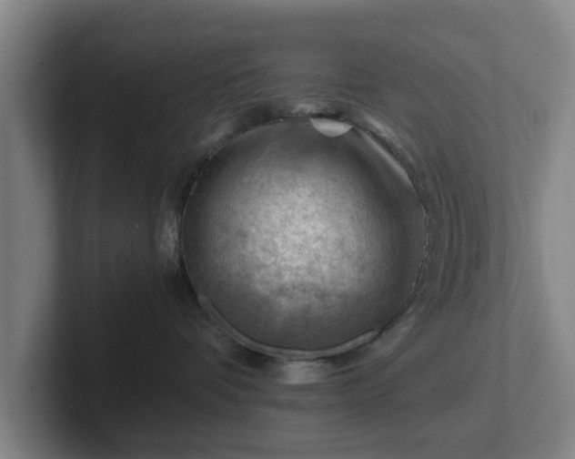 X0000101960336200807251159