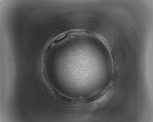 X0000101960337200807251159