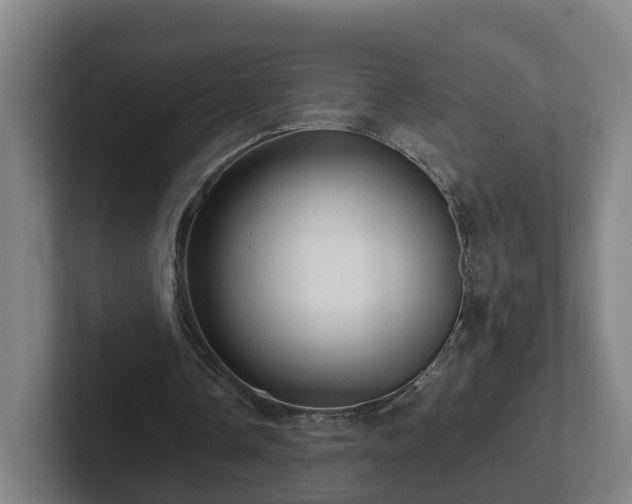 X0000101960338200807251159