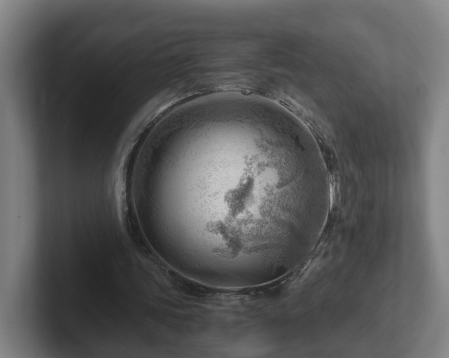 X0000101960339200807251159