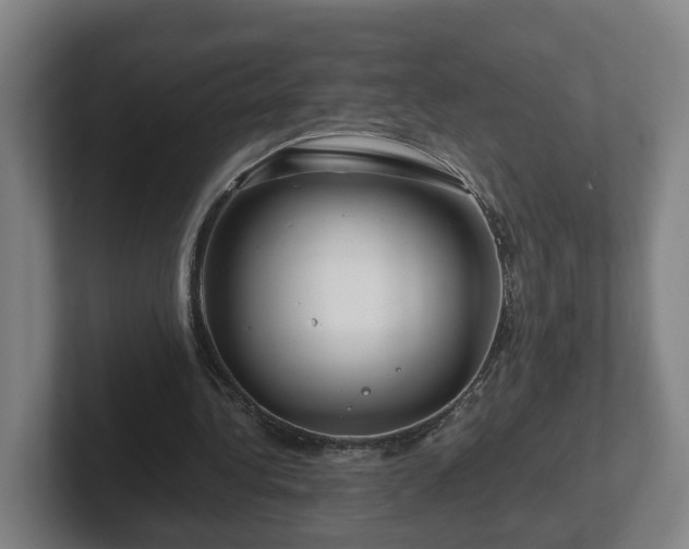 X0000101960340200807251159