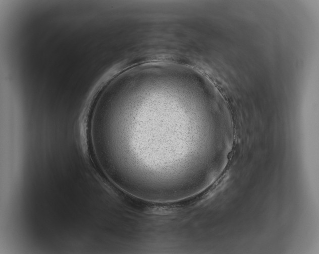 X0000101960341200807251159