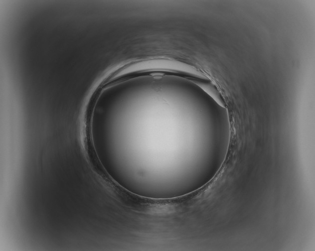 X0000101960342200807251159