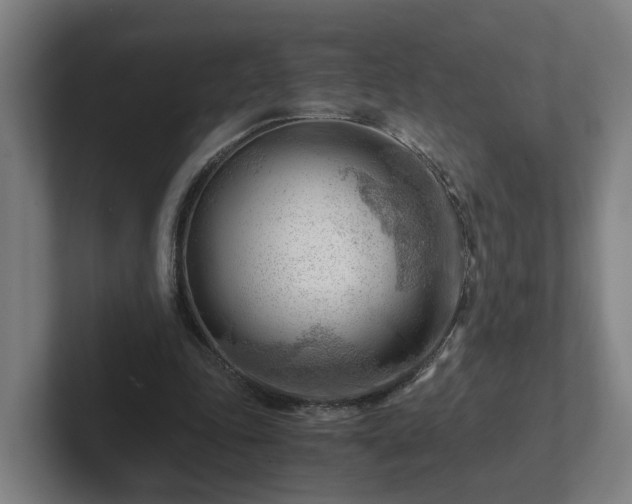 X0000101960343200807251159