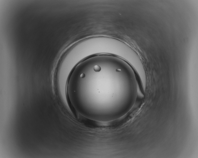 X0000101960344200807251159