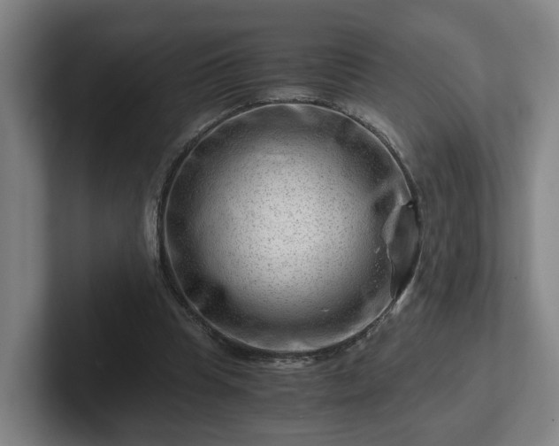 X0000101960345200807251159