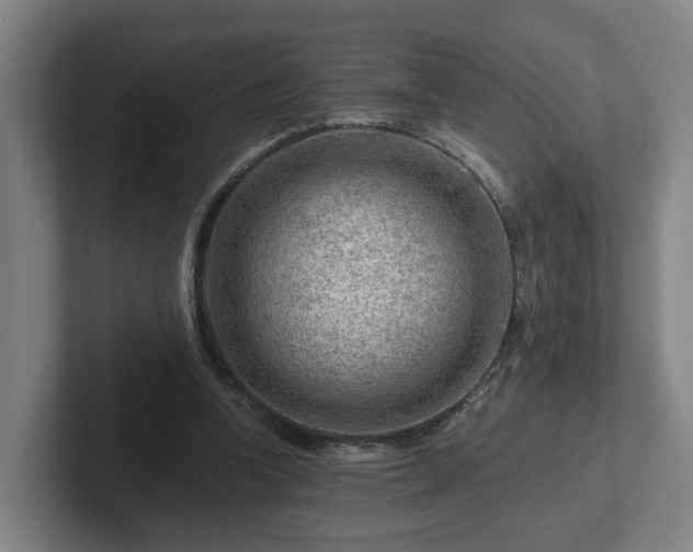 X0000101960346200807251159