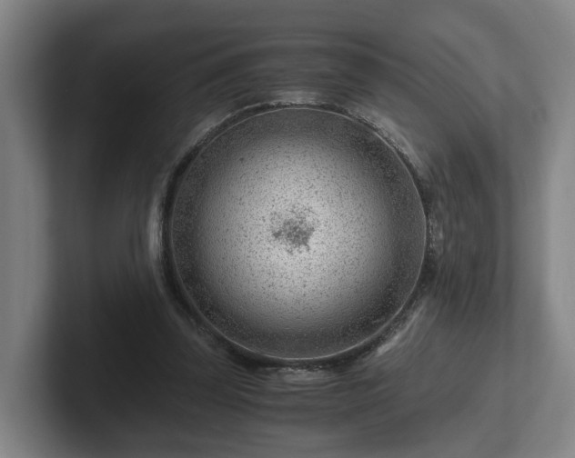 X0000101960347200807251159