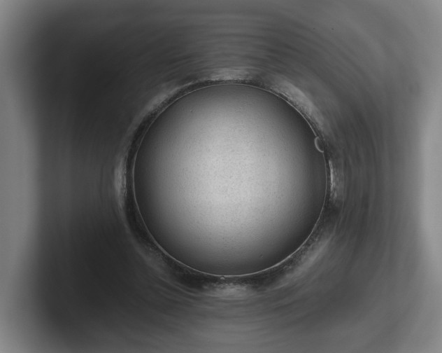 X0000101960348200807251159