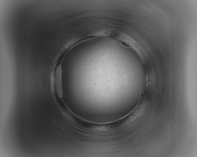 X0000101960349200807251159