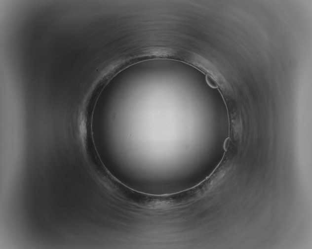 X0000101960350200807251159