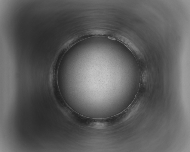 X0000101960352200807251159