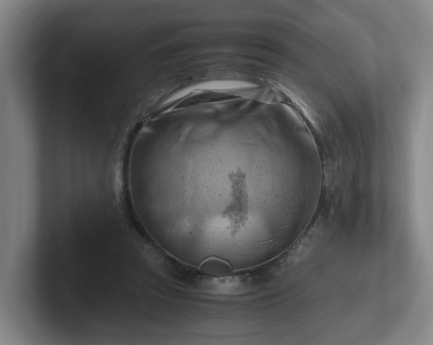 X0000101960353200807251159