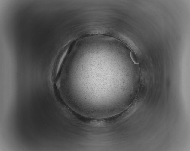 X0000101960354200807251159