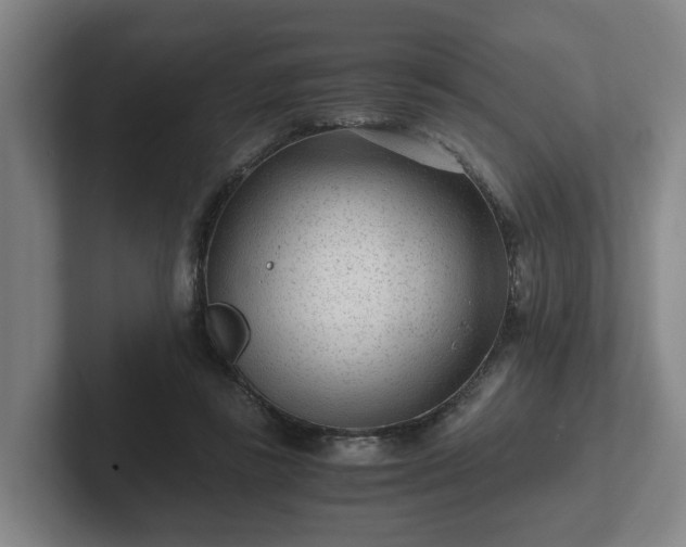 X0000101960355200807251159