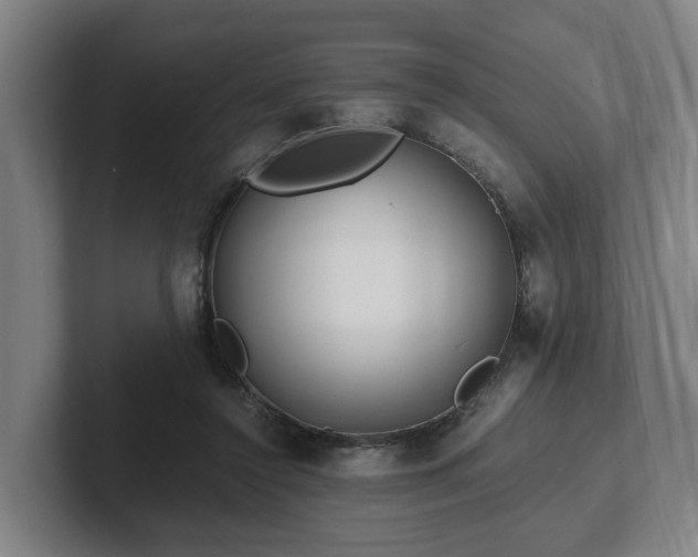 X0000101960356200807251159