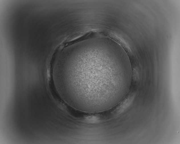 X0000101960358200807251159