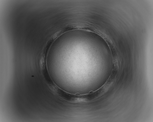 X0000101960360200807251159