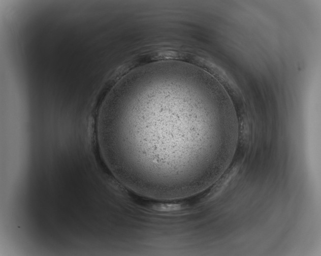 X0000101960361200807251159