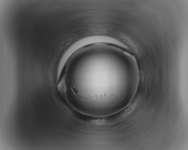 X0000101960362200807251159