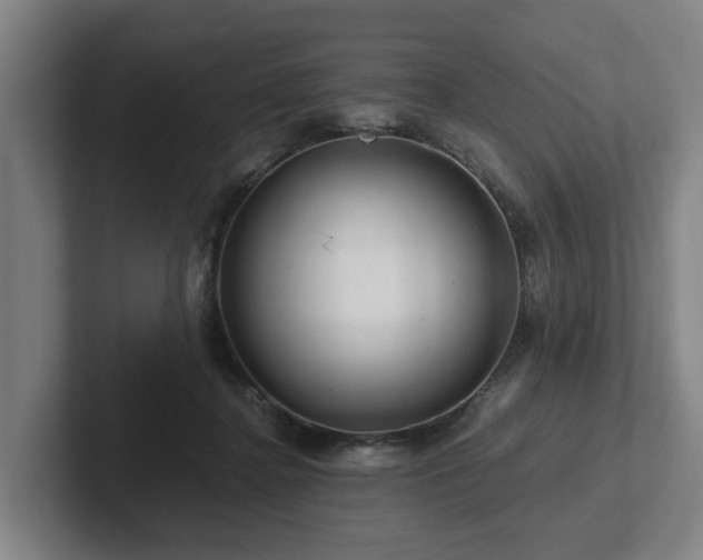 X0000101960364200807251159