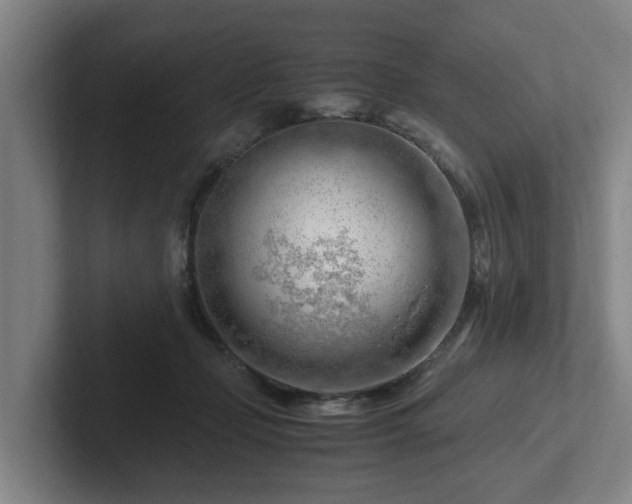 X0000101960365200807251159