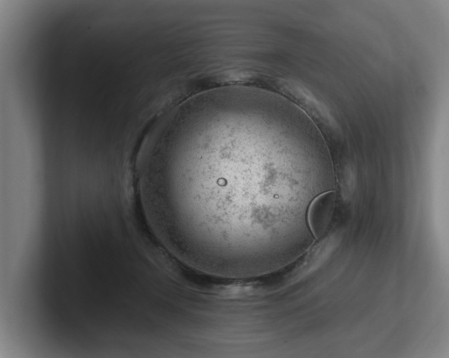 X0000101960366200807251159