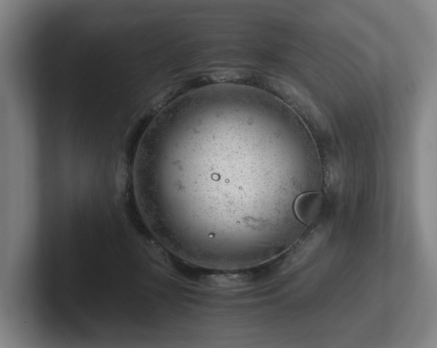 X0000101960367200807251159