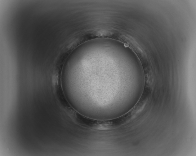 X0000101960368200807251159