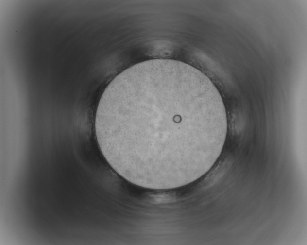 X0000101960370200807251159