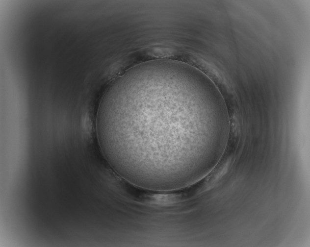 X0000101960371200807251159