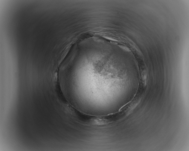 X0000101960372200807251159