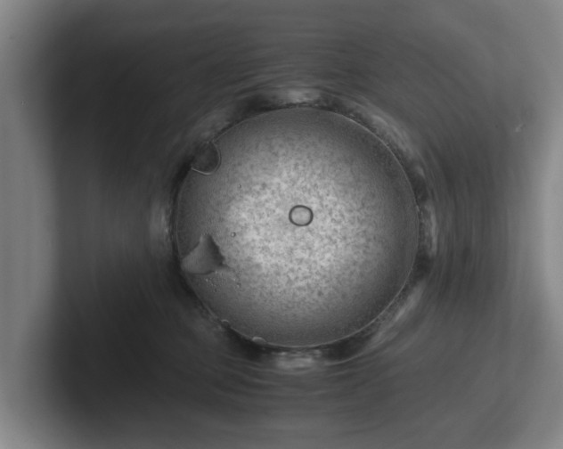 X0000101960373200807251159