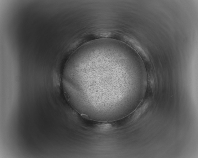 X0000101960374200807251159