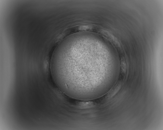 X0000101960375200807251159