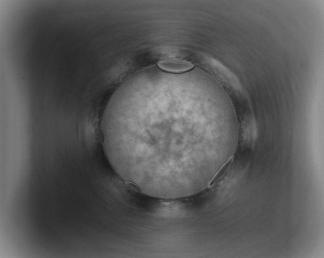 X0000101960376200807251159