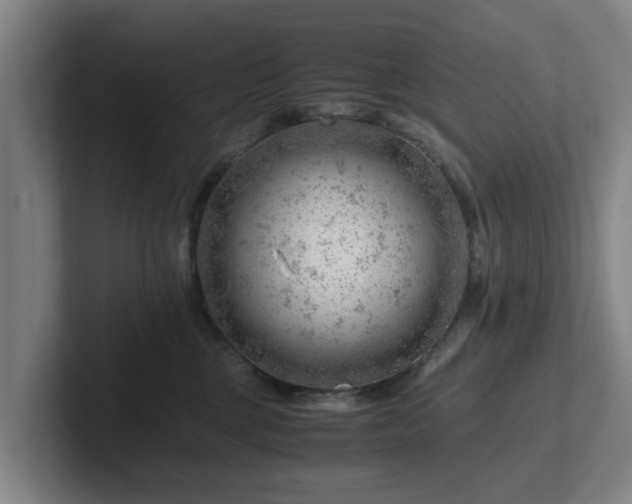 X0000101960377200807251159