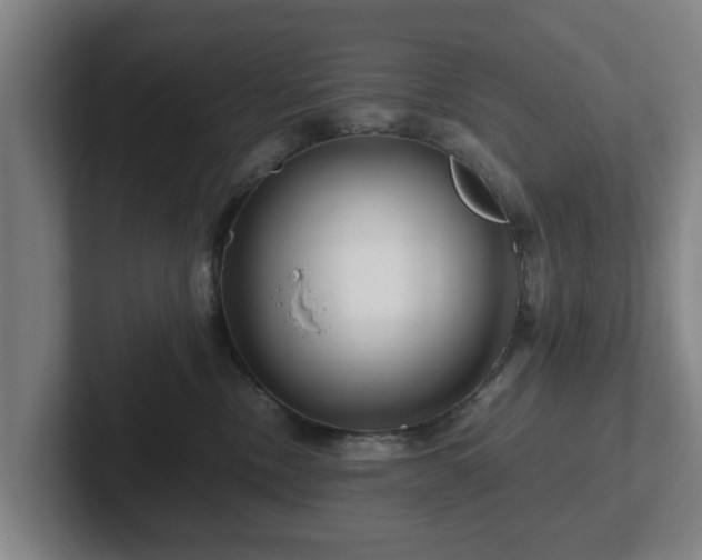 X0000101960378200807251159