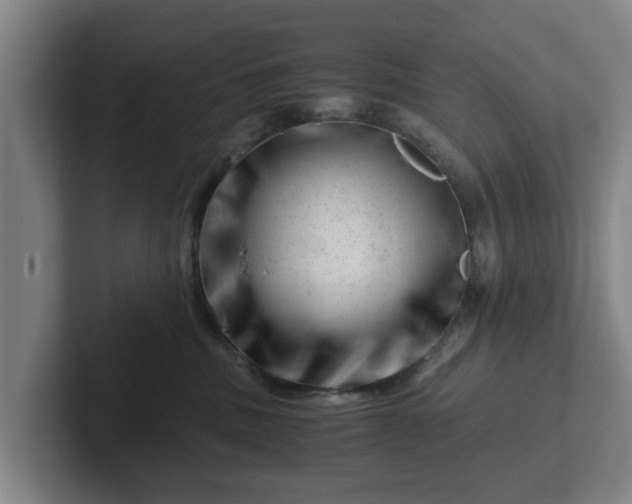 X0000101960379200807251159