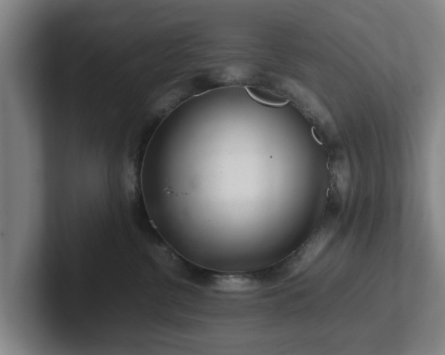 X0000101960380200807251159